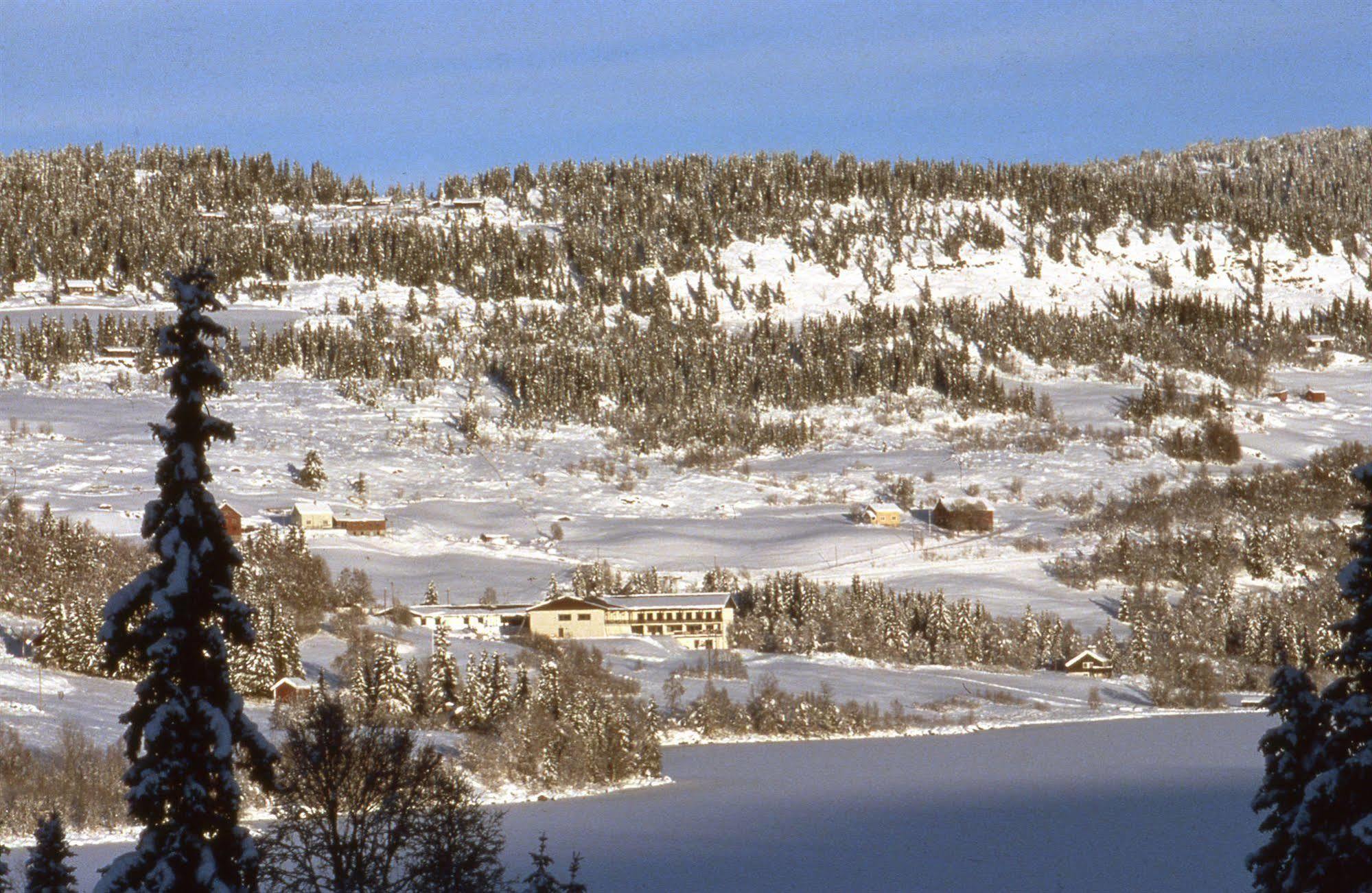 Valdres Hoyfjellshotell Steinsetbygdi Eksteriør billede