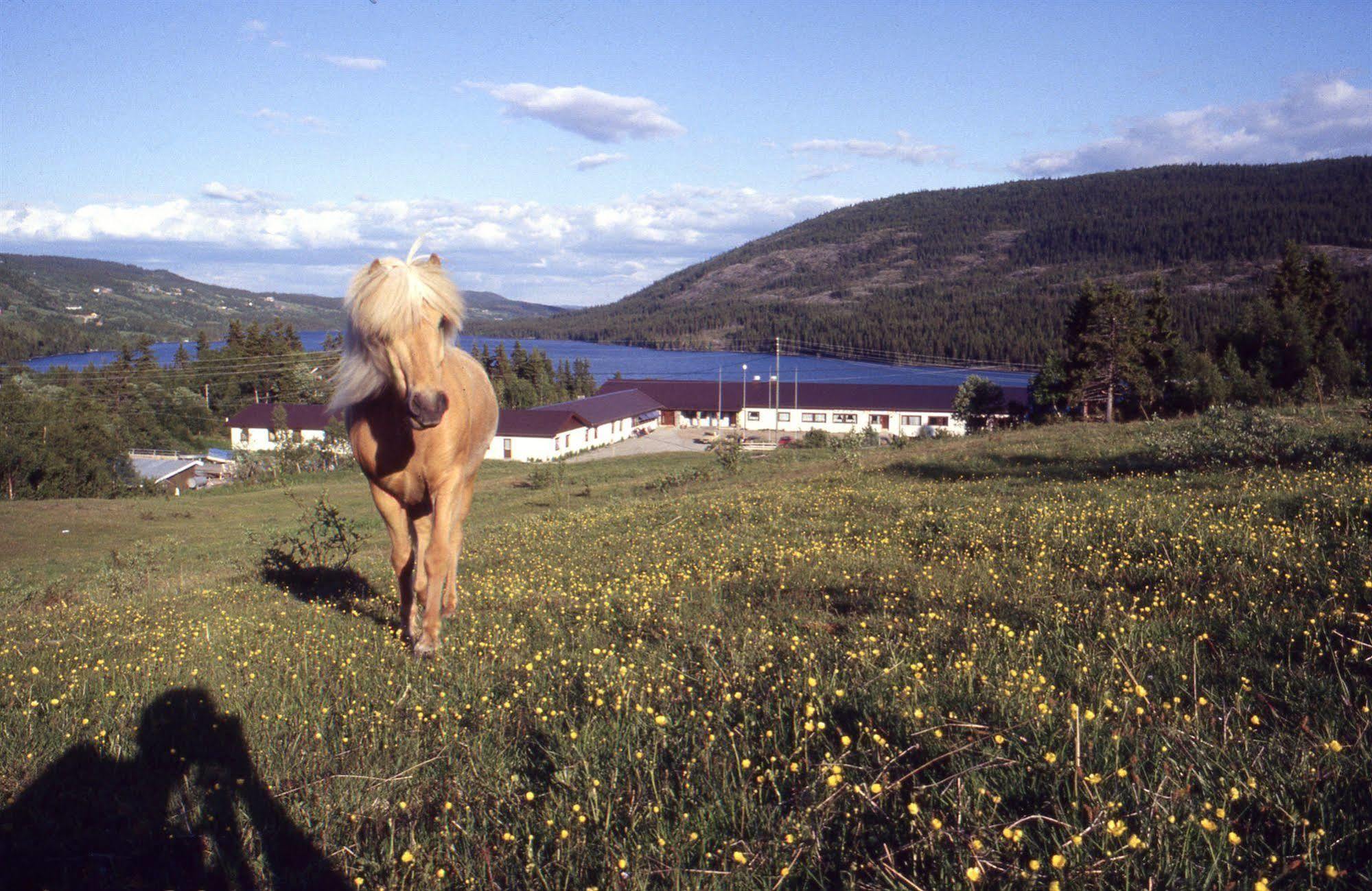 Valdres Hoyfjellshotell Steinsetbygdi Eksteriør billede